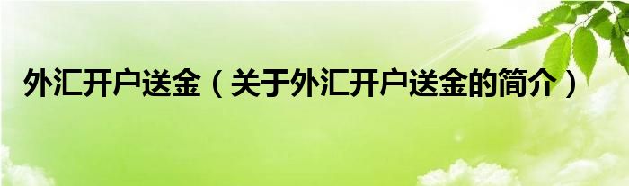 外汇开户送金（关于外汇开户送金的简介）