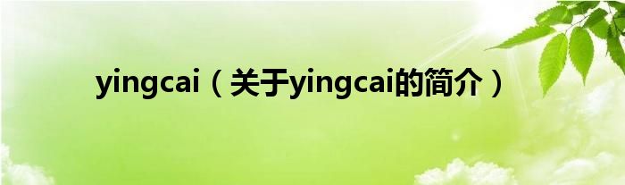 yingcai（关于yingcai的简介）