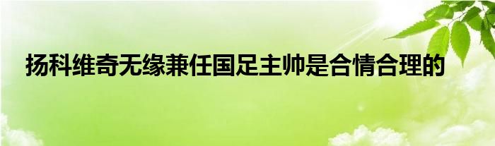 扬科维奇无缘兼任国足主帅是合情合理的