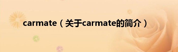 carmate（关于carmate的简介）