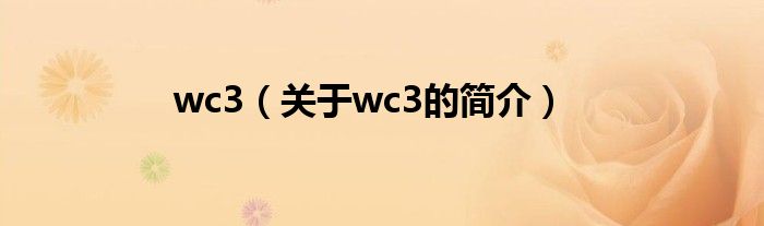 wc3（关于wc3的简介）