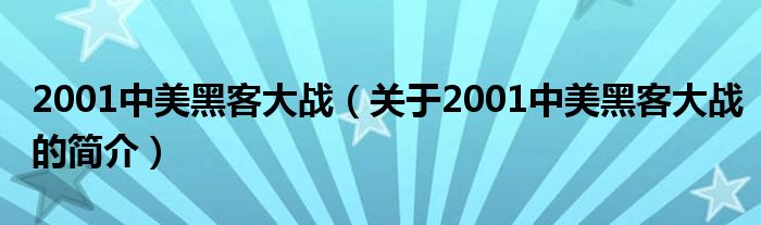 2001中美黑客大战（关于2001中美黑客大战的简介）