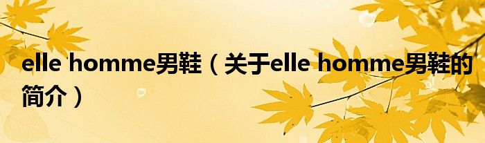 elle homme男鞋（关于elle homme男鞋的简介）