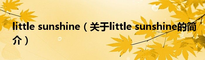little sunshine（关于little sunshine的简介）