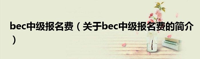 bec中级报名费（关于bec中级报名费的简介）