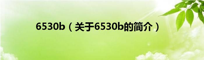 6530b（关于6530b的简介）