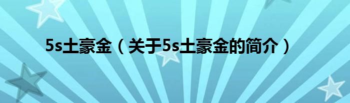 5s土豪金（关于5s土豪金的简介）