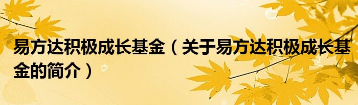 易方达积极成长基金（关于易方达积极成长基金的简介）