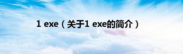 1 exe（关于1 exe的简介）