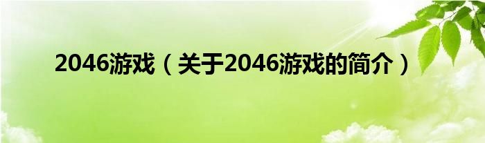 2046游戏（关于2046游戏的简介）