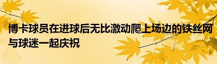 博卡球员在进球后无比激动爬上场边的铁丝网与球迷一起庆祝