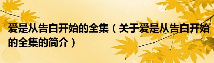 爱是从告白开始的全集（关于爱是从告白开始的全集的简介）