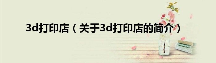 3d打印店（关于3d打印店的简介）