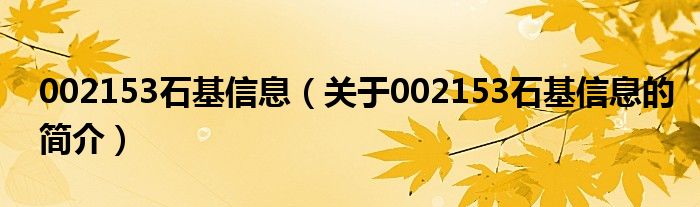 002153石基信息（关于002153石基信息的简介）