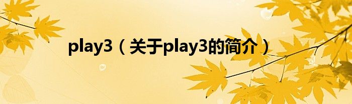 play3（关于play3的简介）