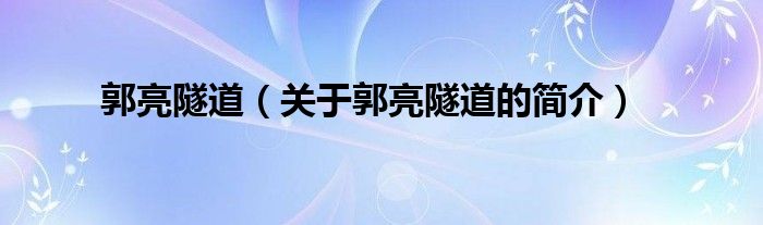 郭亮隧道（关于郭亮隧道的简介）