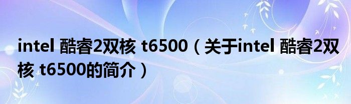 intel 酷睿2双核 t6500（关于intel 酷睿2双核 t6500的简介）