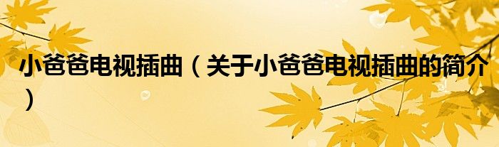 小爸爸电视插曲（关于小爸爸电视插曲的简介）