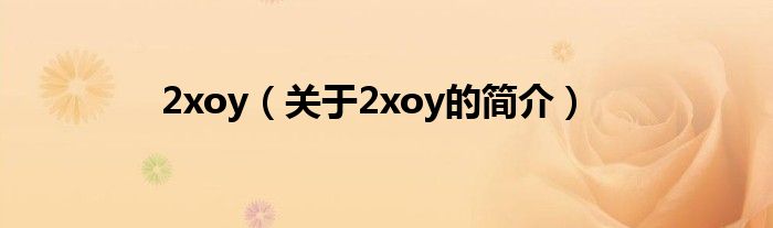 2xoy（关于2xoy的简介）