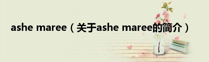 ashe maree（关于ashe maree的简介）