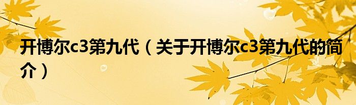 开博尔c3第九代（关于开博尔c3第九代的简介）