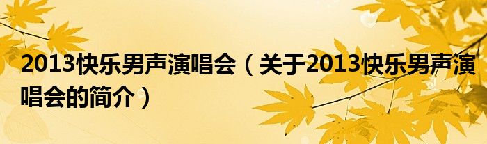 2013快乐男声演唱会（关于2013快乐男声演唱会的简介）