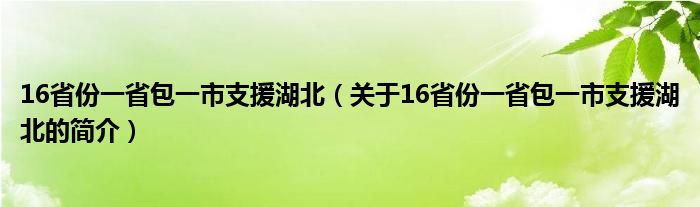 16省份一省包一市支援湖北（关于16省份一省包一市支援湖北的简介）