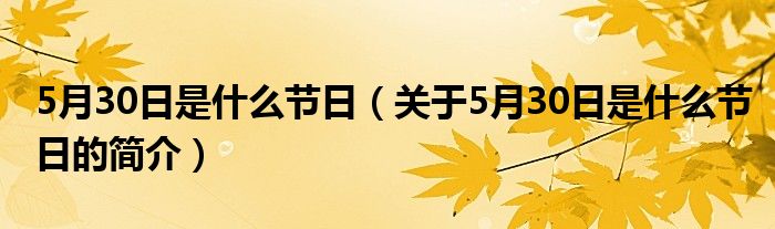 5月30日是什么节日（关于5月30日是什么节日的简介）