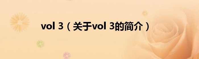 vol 3（关于vol 3的简介）