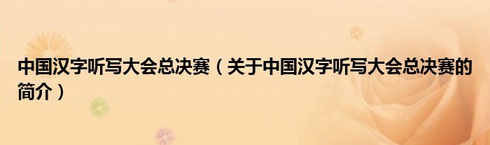 中国汉字听写大会总决赛（关于中国汉字听写大会总决赛的简介）