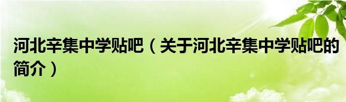 河北辛集中学贴吧（关于河北辛集中学贴吧的简介）