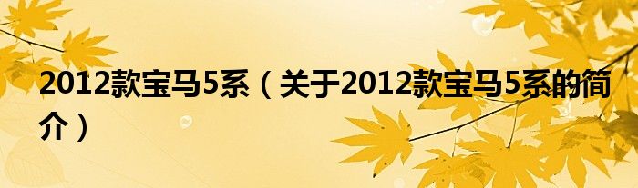 2012款宝马5系（关于2012款宝马5系的简介）