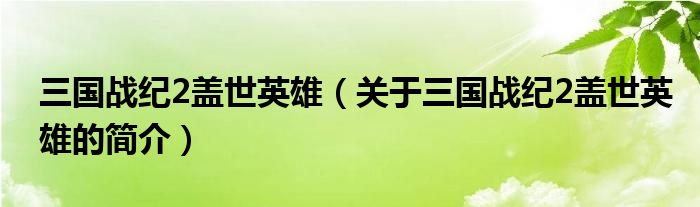 三国战纪2盖世英雄（关于三国战纪2盖世英雄的简介）