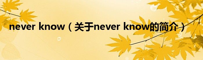 never know（关于never know的简介）