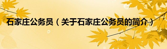 石家庄公务员（关于石家庄公务员的简介）