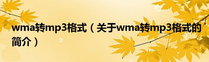 wma转mp3格式（关于wma转mp3格式的简介）