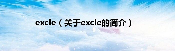 excle（关于excle的简介）