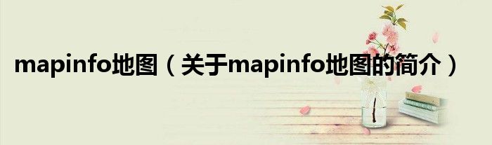 mapinfo地图（关于mapinfo地图的简介）