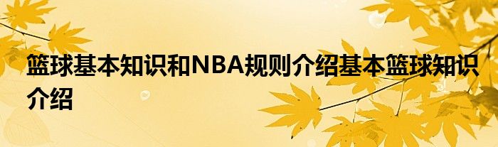 篮球基本知识和NBA规则介绍基本篮球知识介绍