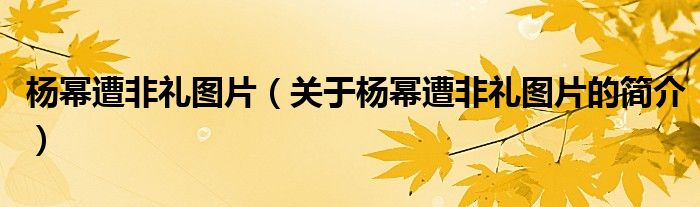 杨幂遭非礼图片（关于杨幂遭非礼图片的简介）