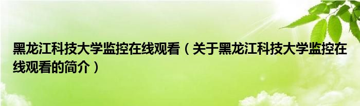 黑龙江科技大学监控在线观看（关于黑龙江科技大学监控在线观看的简介）