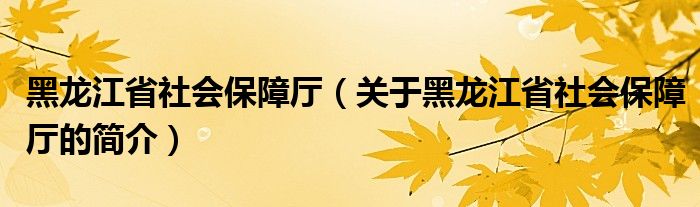 黑龙江省社会保障厅（关于黑龙江省社会保障厅的简介）