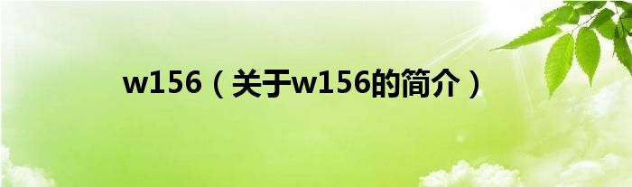 w156（关于w156的简介）