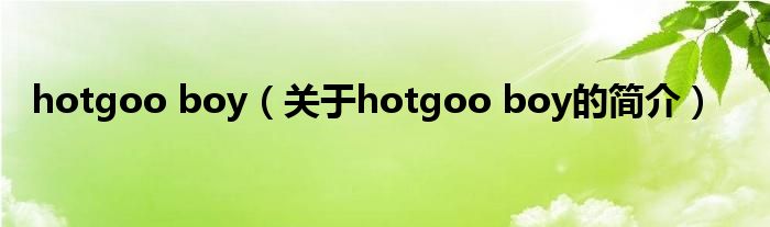 hotgoo boy（关于hotgoo boy的简介）