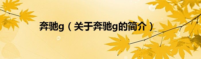 奔驰g（关于奔驰g的简介）