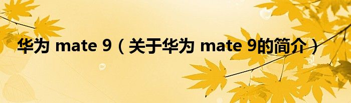 华为 mate 9（关于华为 mate 9的简介）