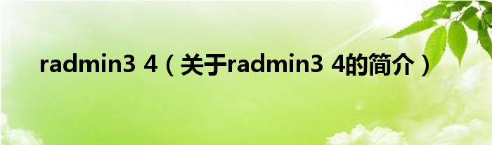 radmin3 4（关于radmin3 4的简介）