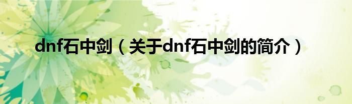 dnf石中剑（关于dnf石中剑的简介）