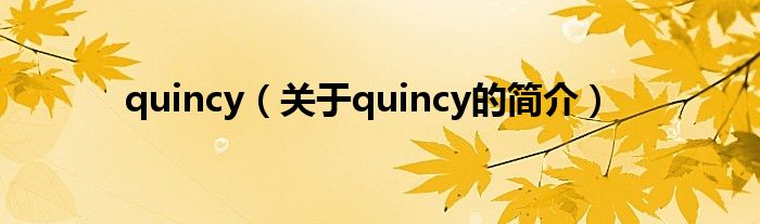 quincy（关于quincy的简介）