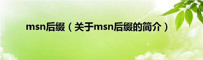 msn后缀（关于msn后缀的简介）